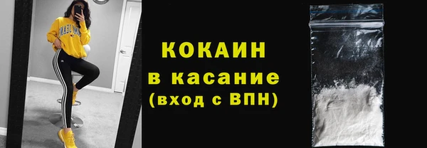 сатива Вязники