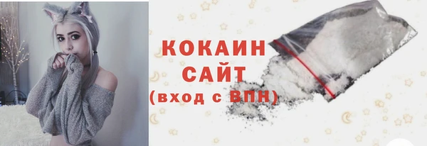 СК Бородино