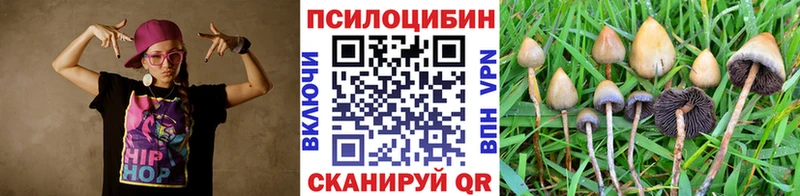 Псилоцибиновые грибы MAGIC MUSHROOMS  Западная Двина 